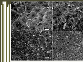  Thermal Performance of Foam Glass Aggregate at Different Compaction Ratios 